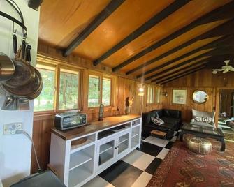 Enchanted 2 bedroom, x-lake cabin with mountain views. Fast WFYI , Napanoch. - Napanoch - Living room