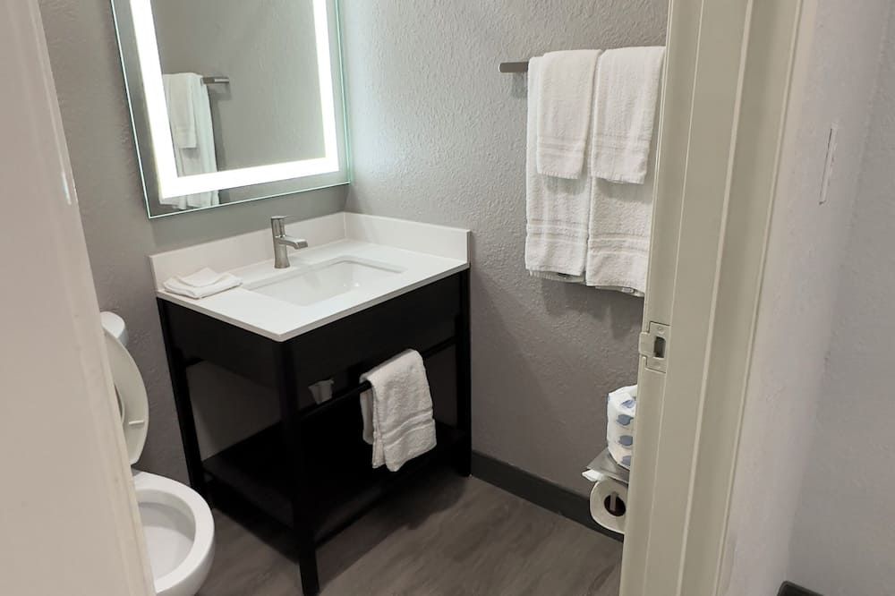 Motel 6-Atlanta, Ga - Downtown - Atlanta - Badrum