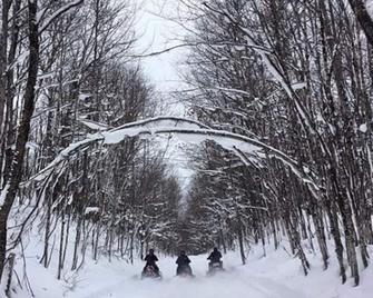 Black Mountain Recreational Area Vacation Rental - Cheboygan - Property amenity