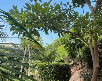 La Villa Palmier - Tropical & Peaceful Oasis - 3br - Puerto Vallarta - Outdoor view