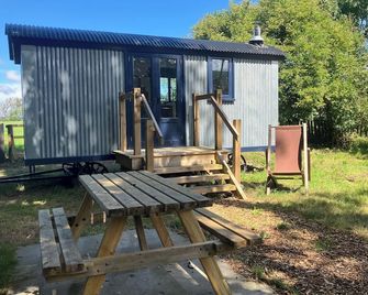 Cwt Clyd-Shepherd’s Hut - Bangor - Innenhof