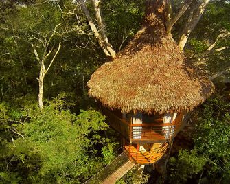 Exotic Tree House Rental for Three near Iquitos, Peru - Nauta