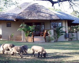 Bonamanzi Game Reserve - Hluhluwe - Lobby