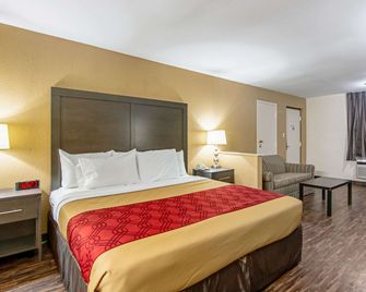 Econo Lodge Inn & Suites Matthews - Charlotte - Matthews - Slaapkamer