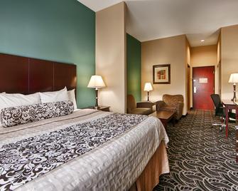 Best Western Plus Katy Inn & Suites - Katy - Bedroom