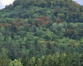 Am Fuße des Zoller - Bisingen - Outdoors view