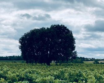 Venez Dormir Chez Nous - Condom - Außenansicht