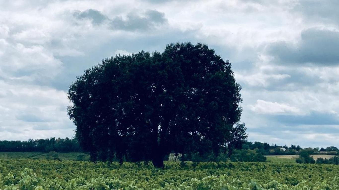 Venez Dormir Chez Nous