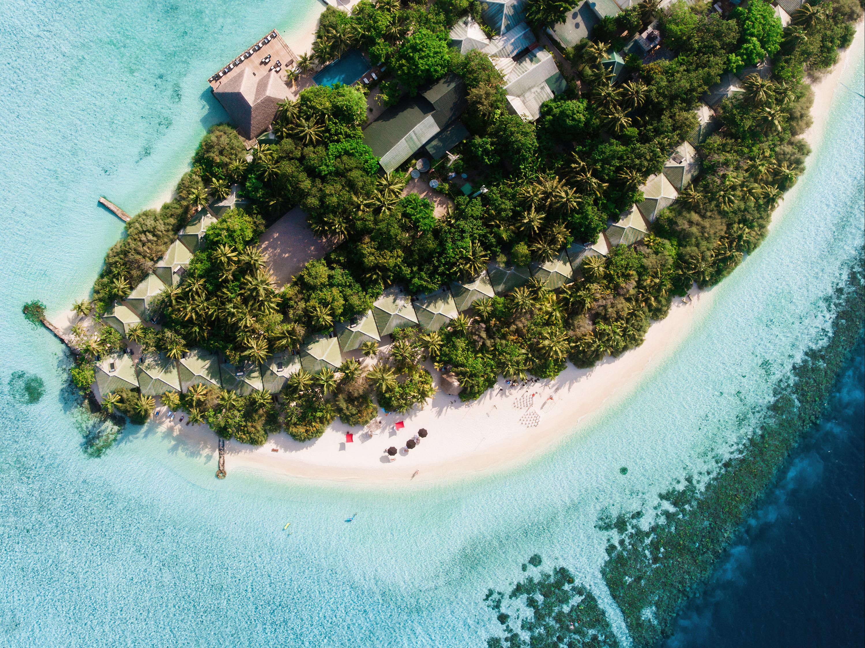 إيري مالديفز