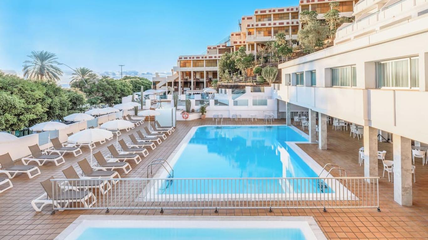 Lemon & Soul Cactus Garden