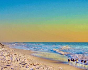 Gulf Views - No Stairs - Directly “On the Beach” - Jensen's 'On the Gulf' - Cozy Suite 1 - Captiva - Plage