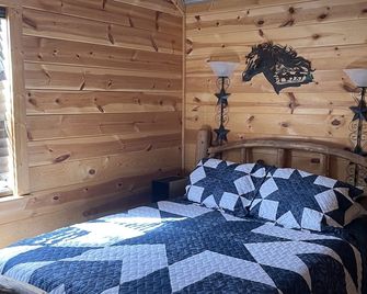 Tiny cabin near downtown Fort Worth - Fort Worth - Bedroom
