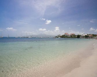 Kaouanne - Les Trois-Ilets - Plage