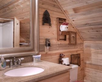 Bristol Head Log Cabin - Creede - Baño
