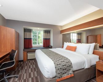 Microtel Inn & Suites by Wyndham Springfield - Springfield - Bedroom
