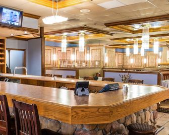Ramada by Wyndham Thunder Bay Airlane Hotel - ת'אנדר ביי - בר