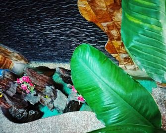 Win's Homestay - Hostel - Da Nang