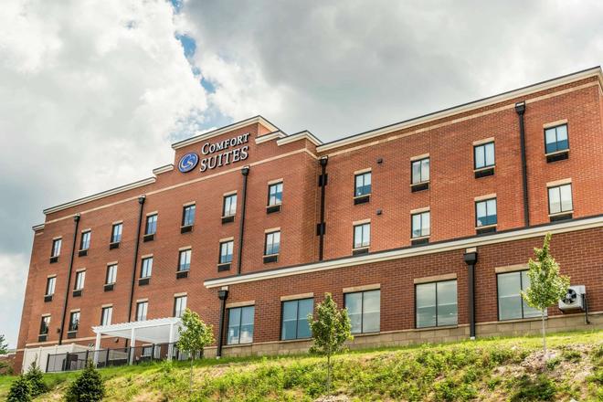 Comfort Suites Florence Cincinnati South 86 1 6 6 Florence
