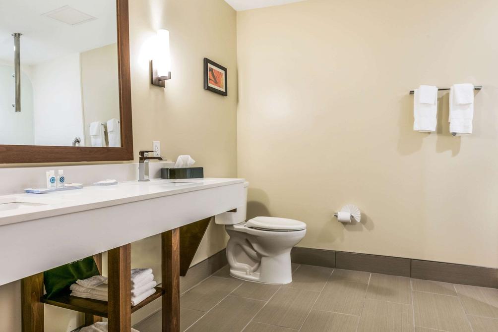 Comfort Suites Florence Cincinnati South 86 1 6 6 Florence