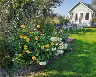 Tig na Coille B&B Country House - Kilkenny - Patio