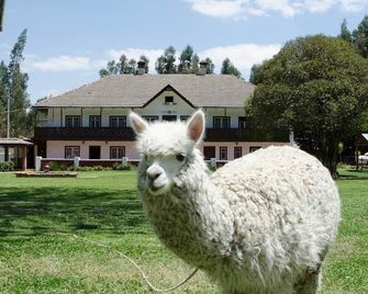 Centro Vacacional Huaychulo - Concepción