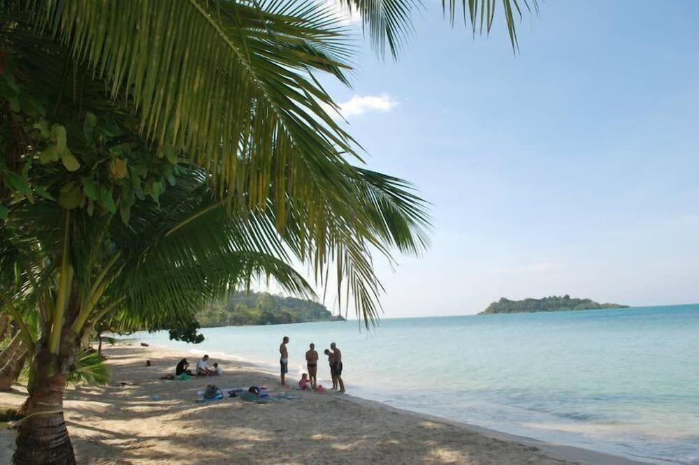 بارادايس بانغالوز