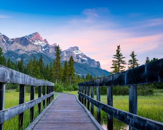 A Bear and Bison Country Inn - Canmore