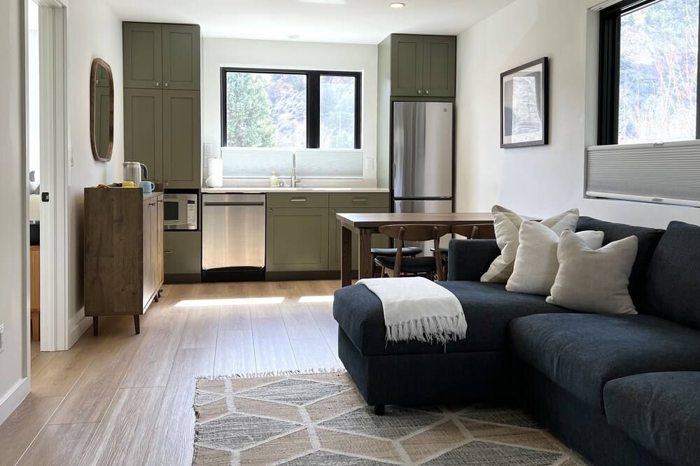 Tranquility Base, Modern One-Bedroom Apartment - Carbondale - Soggiorno