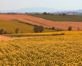 Setterhouseagrihotel - Trevi