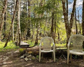 Mt Rainier Little Green Cabin On Big Creek! - Ashford - Innenhof