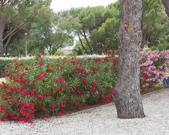 Chambres d'Hôtes Villa Alizé - Grimaud - Building