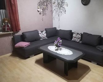 Große und gemütliche Ferienwohnung mit überdachtem Freisitz und Garten - Schwarzenbach an der Saale - Sala de estar