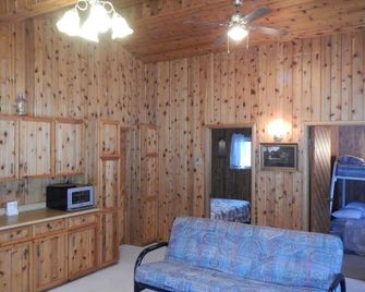 Spacious 4 season Lake Front Cabin Rental - 1 hour north of Winnipeg - Grand Marais - Living room