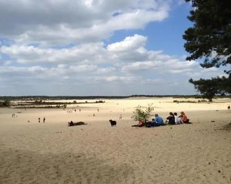 Lodge in Duinhoeve near Dunes Playground - Udenhout - Spiaggia