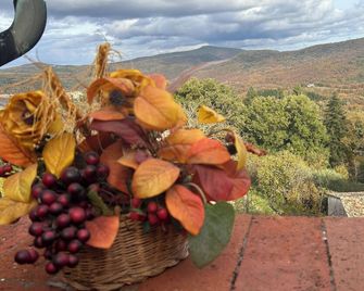 Historic Farmhouse Casa del Chiodo - Torniella