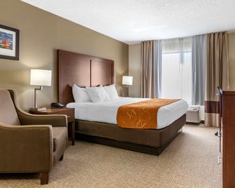 Comfort Suites Grandville - Grand Rapids Sw - Grandville - Bedroom