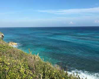 Cloudbreak Bahamas Villa, The Highest Ocean and Island View at Surfer's Beach - Gregory Town - Beach