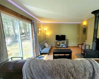 Beautiful home located in the Mad River Valley - Warren - Living room