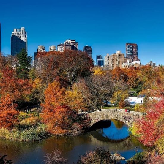 Outdoors view view of Carnegie Hotel
