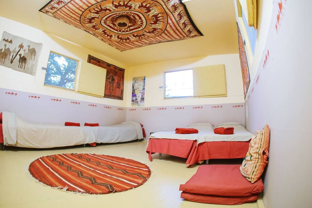 חוות הגמלים בנגב