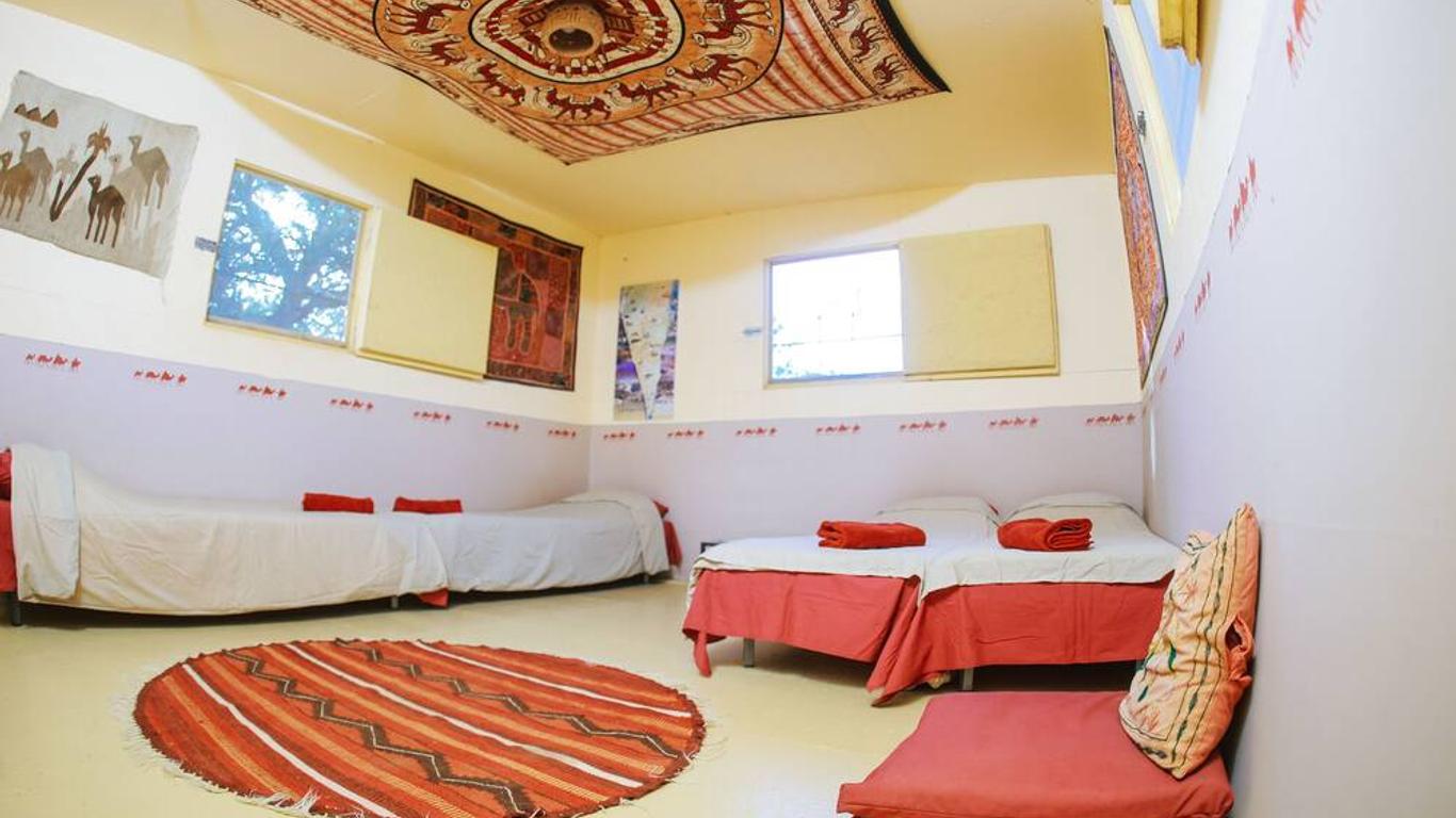 חוות הגמלים בנגב