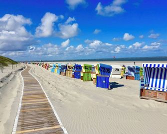 Seesternchen - Langeoog - Strand