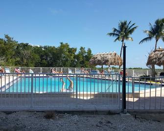 Spectacular Oceanfront Views , Free Wifi, Hd Smart Tv's, Netflix, Kayak Rentals - Islamorada - Piscine