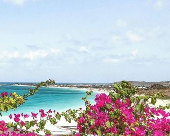 Shamrock Vanille Orient Bay - Marigot - Παραλία
