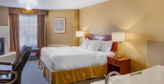 Quality Inn & Suites Edmonton International Airport - Leduc - Bedroom