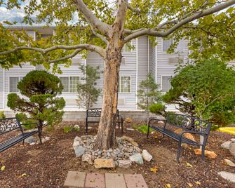Best Western Fallon Inn & Suites - Fallon - Patio