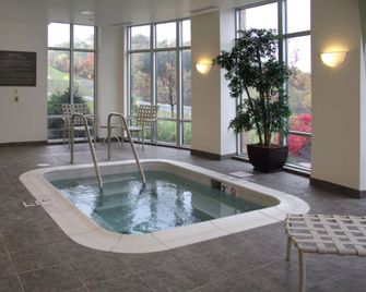 Hampton Inn & Suites Pittsburgh-Meadow Lands - Washington - Pool