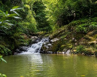 Hacienda Doña Minga - Adjuntas