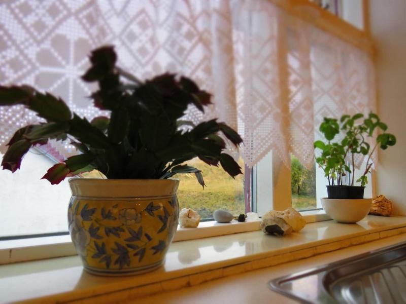 Kálfafellsstaður Guesthouse