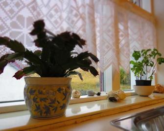 Guesthouse Kálfafellsstadur - Kalfafellsstadur - Lobby